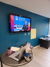 Load image into Gallery viewer, Mental Health First Aid Certification (ADULT)